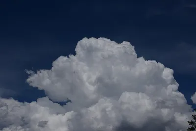 DSC_3208 (Large).JPG